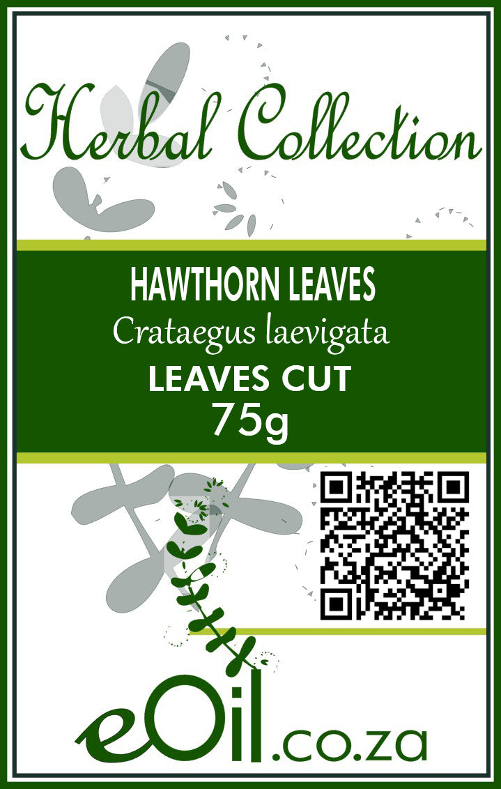 Hawthorn Leaves - 75 g - Herbal Collection - eOil.co.za