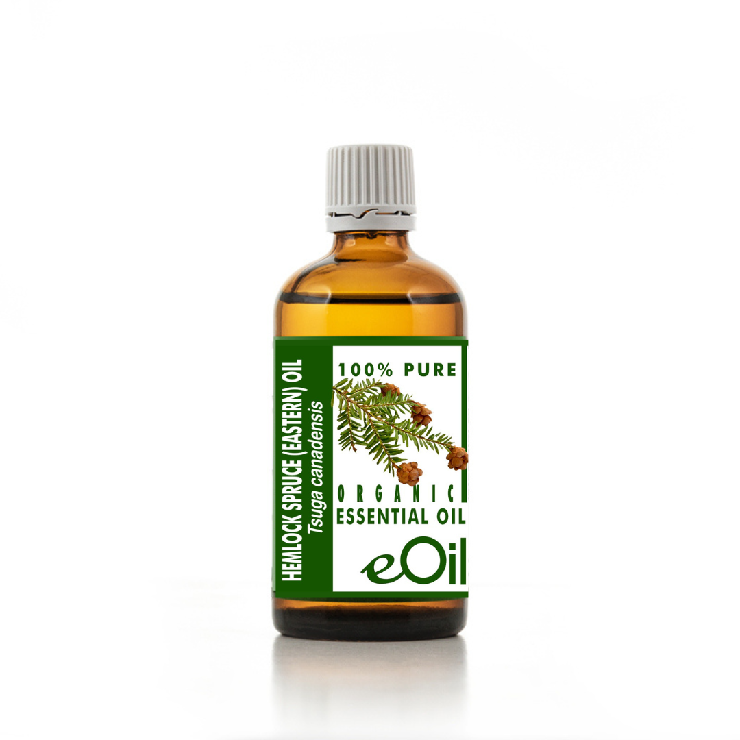 Bottle of eOil Hemlock Spruce Eastern Essential Oil on a white background