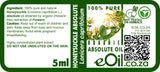 Honeysuckle Absolute Oil