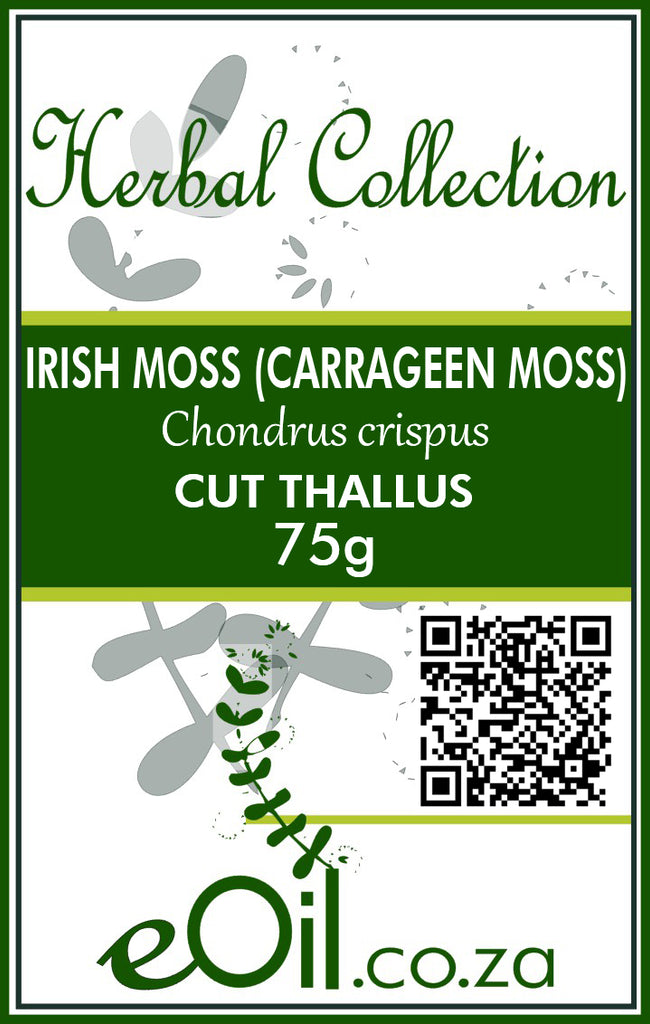 Irish Moss Cut - Dried Carrageen Moss - Chondrus Crispus -  75 g - eOil.co.za