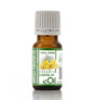 Bottle of eOil organic essential oil Helichrysum italicum with a white background
