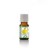 Jonquil Absolute Organic Oil, rare Narcissus flower extract for elegant perfumery and emotional balance