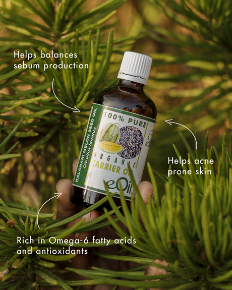 Kalahari melon carrier oil 