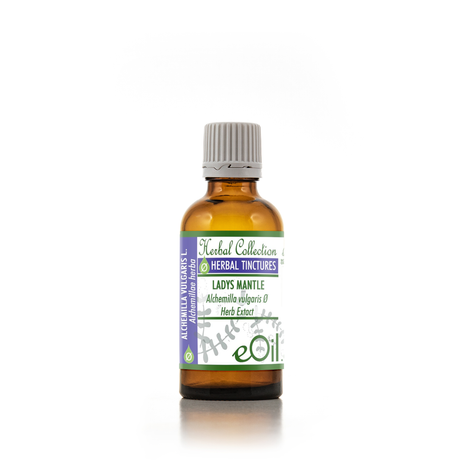 An amber glass bottle of eOil Herbal Tinctures Lady's Mantle herb extract, featuring a white and purple label with a gray ribbed cap, set against a plain white background with a soft reflection.