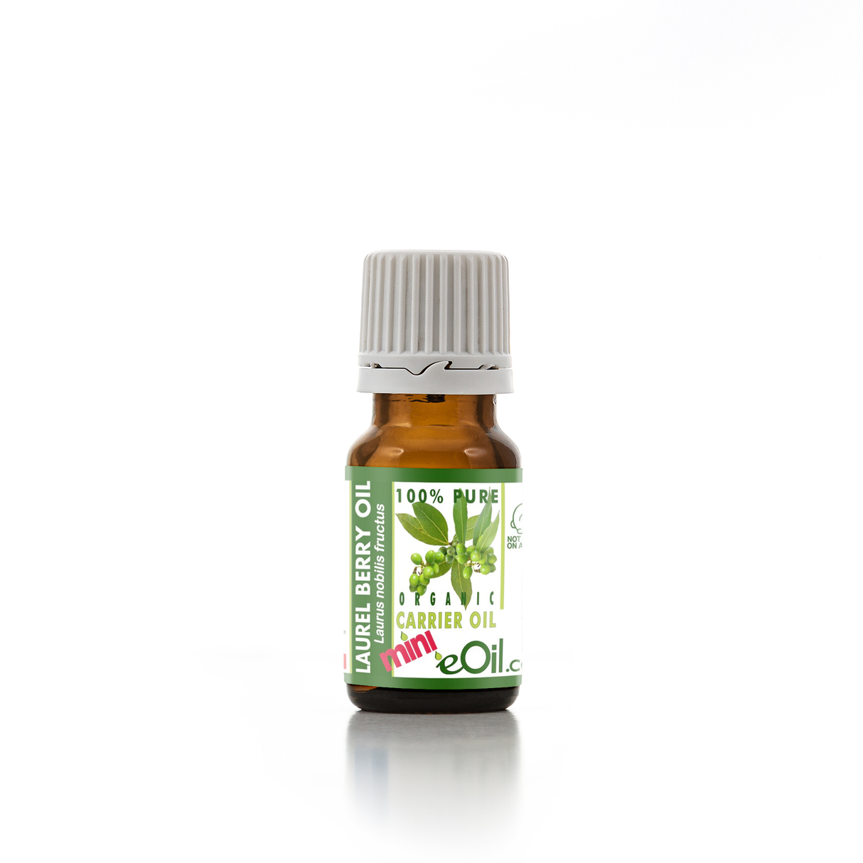 Laurel Berry Carrier Oil Organic