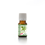 Laurel Berry Carrier Oil Organic