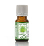 Bottle of lemon grass essential oil with a green label on a white background