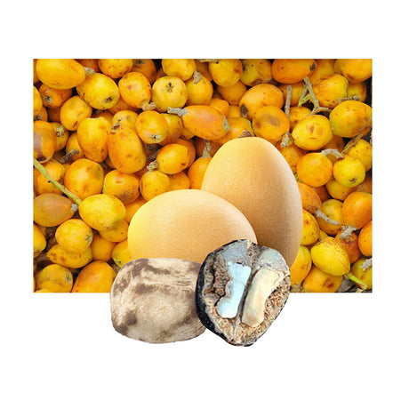 Marula Organic Carrier Oil - eOil.co.za