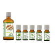 ache ear recipe essential oils support well being massage rub