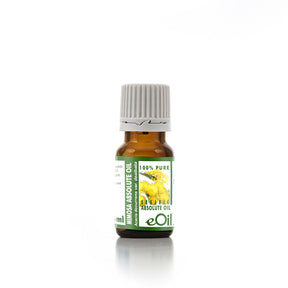 Mimosa Absolute Oil Organic, soft powdery floral for natural perfumery and joyful aromatherapy