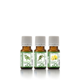 Office, Work Place Air Purification - for Diffuser - Recipe Synergy - Being well Collection