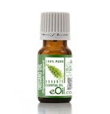 Bottle of eOil oregano essential oil on a white background