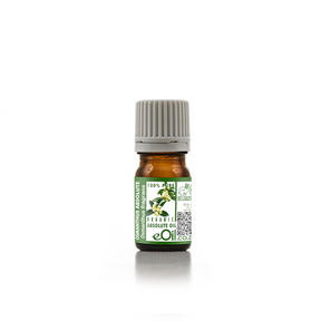 Osmanthus Absolute Oil Organic, fruity-floral aroma for fine perfumes and luxury natural skin care