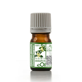 Bottle of Osmanthus Absolute Oil with a green label on a white background