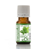 Bottle of peppermint essential oil with a green label on a white background