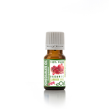 Healthy Skin 30 Plus | eOil.co.za | Carrier Oils | Mini collection