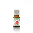 Chakra Root Blended Essential Oils - eOil.co.za