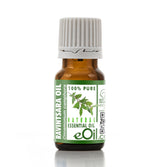 Bottle of eOil Ravintsara essential oil on a white background