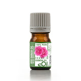 Bottle of eOil Rose Damask essential oil on a white background