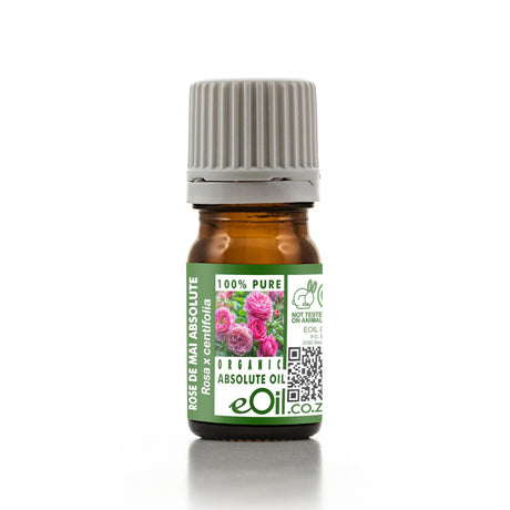 Bottle of eOil rose de mai absolute oil on a white background