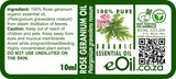 Rose Geranium Essential Oil Organic, soft floral and green note for natural beauty blends