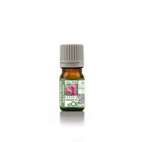 Rose de Mai Absolute Oil Organic, lush Provence rose scent for luxurious aromatherapy and skin care