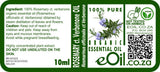 Rosemary Verbenone Organic Essential Oil, fresh herbal note for beauty and wellness