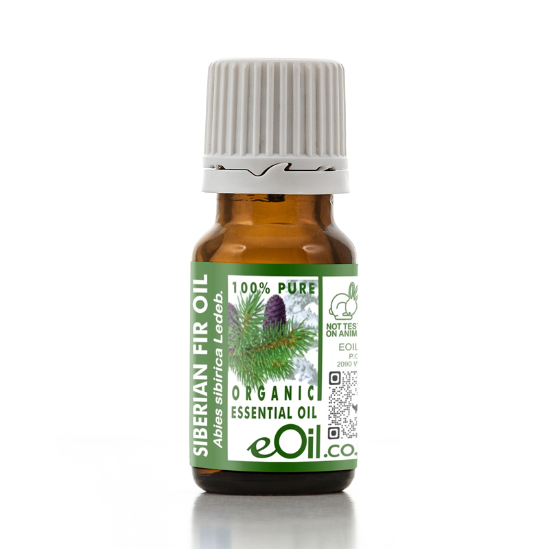 A small amber glass bottle of Siberian Fir Oil with a white ribbed cap and a green-and-white label, centered on a white background.