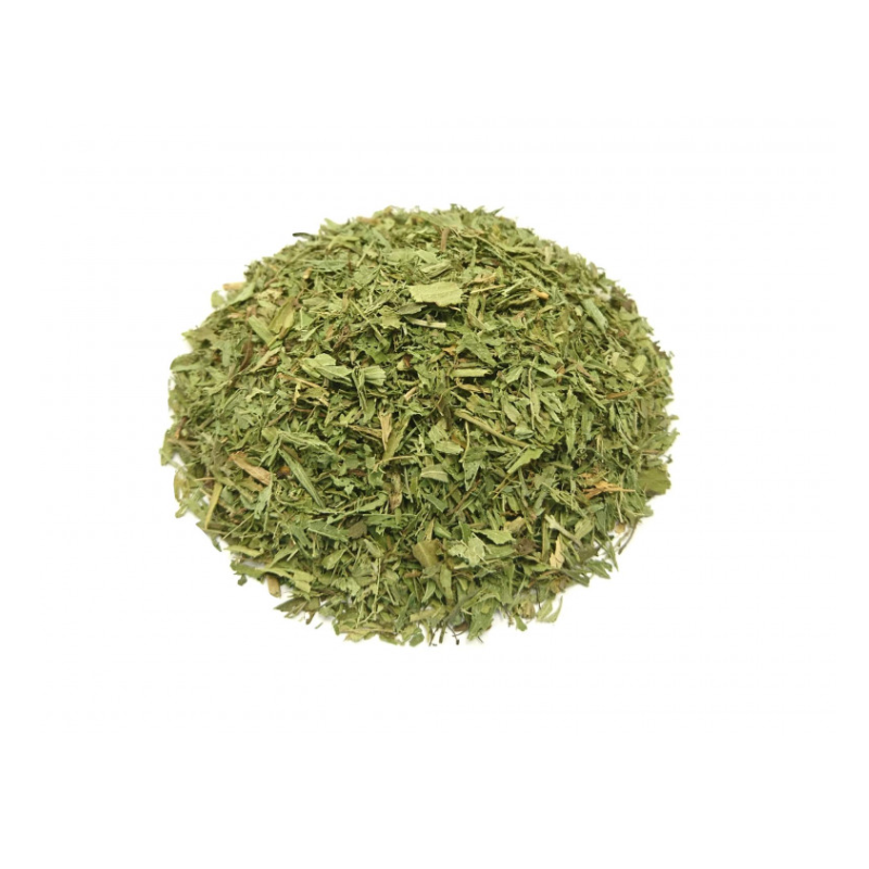 Stevia Leaves Dried (Stevia rebaudiana) - Herbal Collection - eOil.co.za
