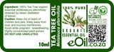 Tea Tree Essential Oil Organic, crisp camphorous aroma for cleansing and freshening eOil.co.za