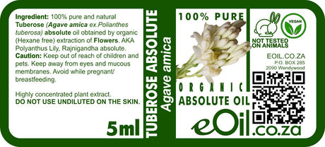 Tuberose Absolute Oil Organic, luxurious white floral extract for perfumes and aromatherapy