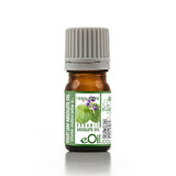 Bottle of eOil Violet Leaf Absolute Oil on a white background