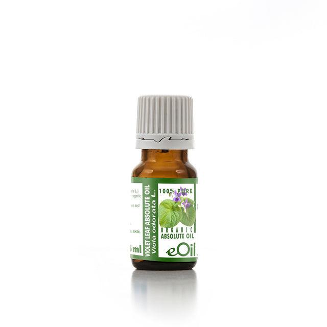 Violet Leaf Absolute Oil Organic, green fresh extract for clean perfumery and calming blends