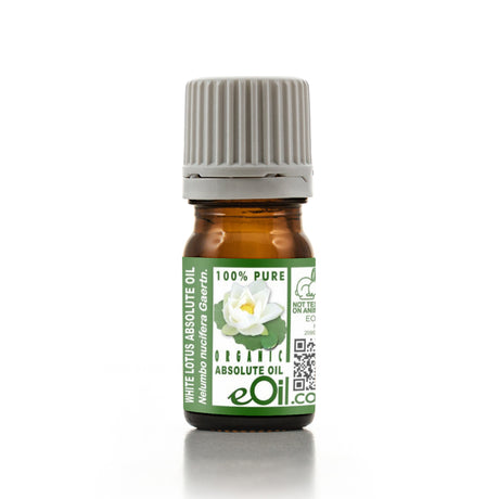 Bottle of White Lotus Absolute Oil with a green label on a white background