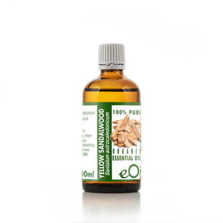 Bottle of yellow sandalwood essential oil on a white background 100 ml