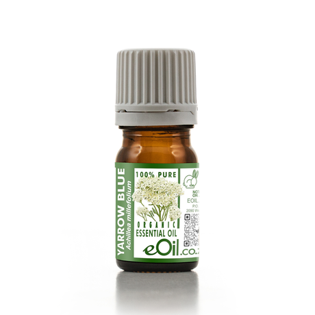 A small amber glass bottle of eOil Co. Yarrow Blue essential oil with a ribbed gray cap and a green and white label, set against a plain white background.