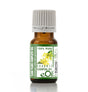 Bottle of eOil Ylang Ylang essential oil on a white background