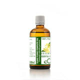 Bottle of Ylang Ylang essential oil on a white background