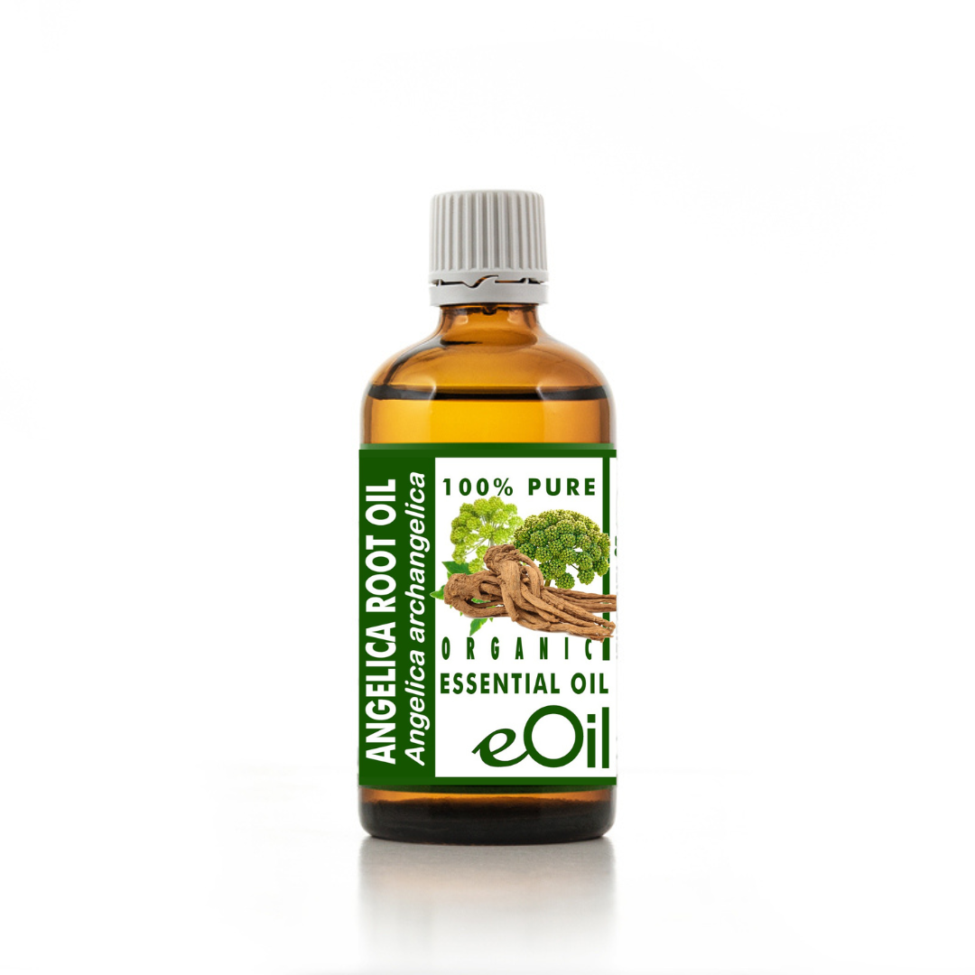 Angelica Root Essential Oil Organic