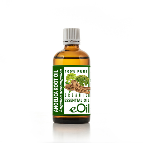 Angelica Root Essential Oil Organic