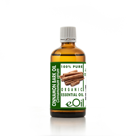 Bottle of cinnamon bark essential oil with a white background