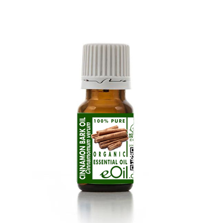 Bottle of cinnamon bark essential oil with a green label on a white background