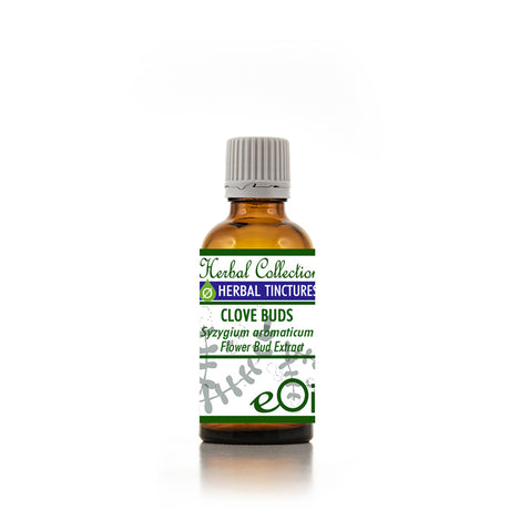 A bottle of Clove Buds Liquid Herbal Extract Tincture (Syzygium aromaticum) with whole dried clove buds on a white background.