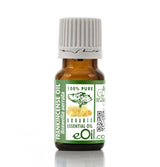 Bottle of frankincense essential oil with a green label on a white background