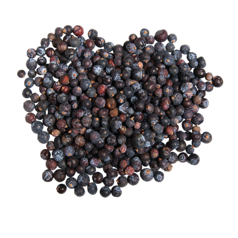 Juniper Berries Dried - 100 g - Herbal Collection - eOil.co.za