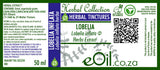 Lobelia inflata Herbal Extract - 50 ml - eOil.co.za