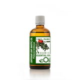 Lentisque Leaf Mastic (Pistachia lentiscus) essential Oil Organic