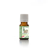 Bottle of organic moringa seed oil on a white background 10 ml mini