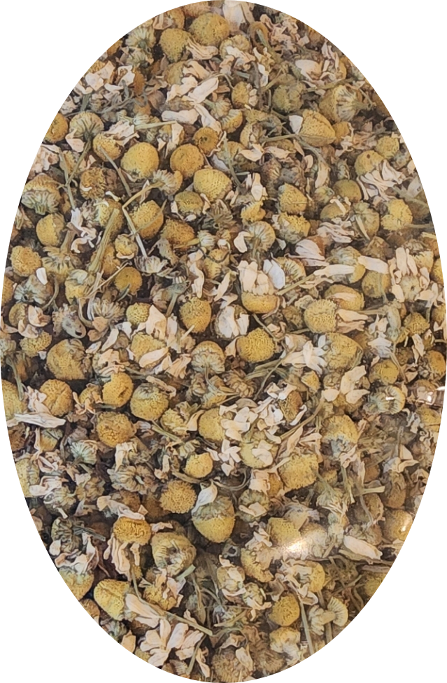 Chamomile German Flowers Organic Dried - Herbal Collection - eOil.co.za