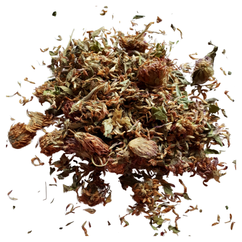 Red Clover Flower cut - Herbal Collection - 60 g - eOil.co.za